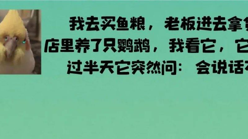 西点烘焙原料，揭秘背后的品质密码